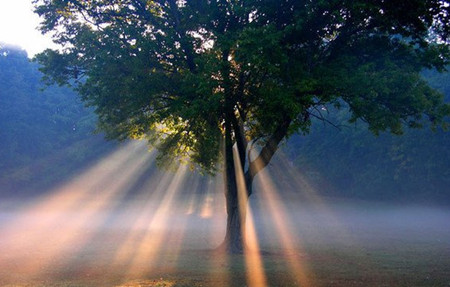 日積月累學(xué)口語(yǔ):二十歲出頭,你的一無(wú)所有,令全世界羨慕