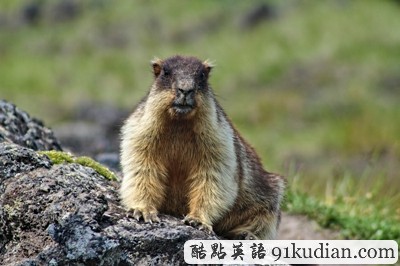 環(huán)球之旅:邀你同行共賞美麗火山風景(上)