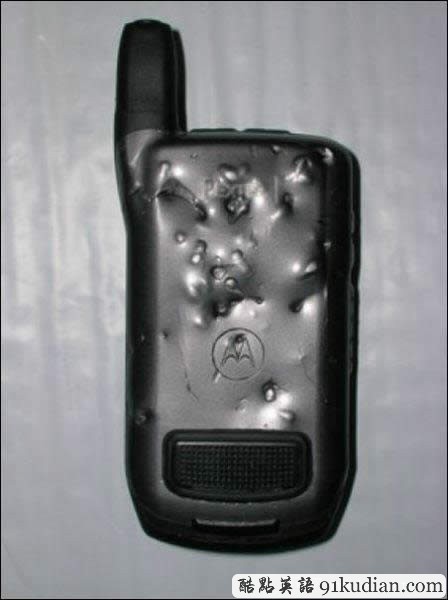 你的可愛寵物也曾這樣調(diào)皮搗蛋嗎?