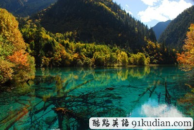 人間仙境:九寨溝秋季勝景欣賞