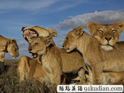 環(huán)球之旅:2012走遍全世界(4)之奇趣大自然