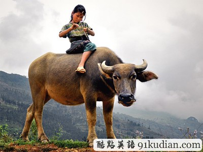 環(huán)球之旅:2012走遍全世界(4)之奇趣大自然