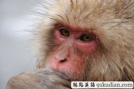 環(huán)球之旅:走遍日本,看什么?看古跡,看新城,看人文