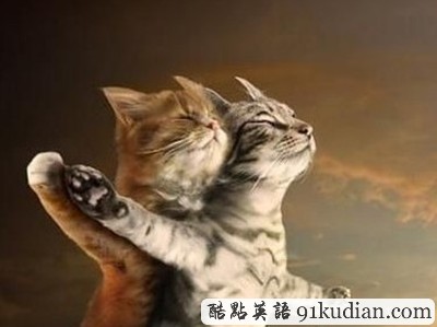 趣圖妙語:令你快樂的一些趣圖