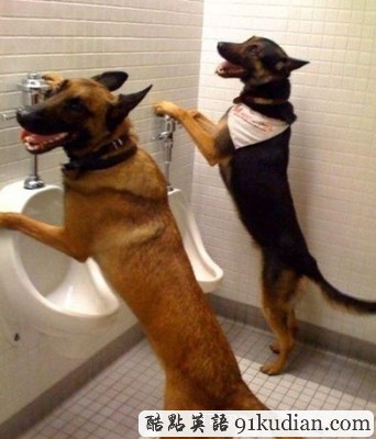 趣圖妙語:令你快樂的一些趣圖