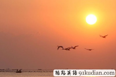 環(huán)球之旅:山東榮成變身天鵝湖