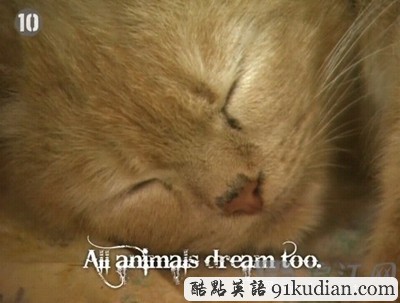 夢境十大真相揭秘:你了解你的夢嗎?