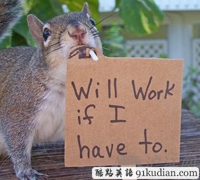 趣圖妙語(yǔ):松鼠兄弟的超萌造型