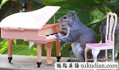 趣圖妙語:松鼠兄弟的超萌造型