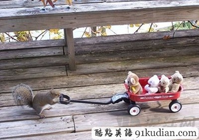 趣圖妙語:松鼠兄弟的超萌造型