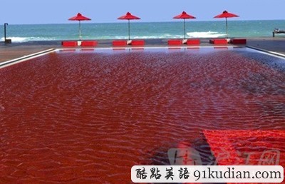 環(huán)球之旅:美到令人尖叫的十大奢華游泳池