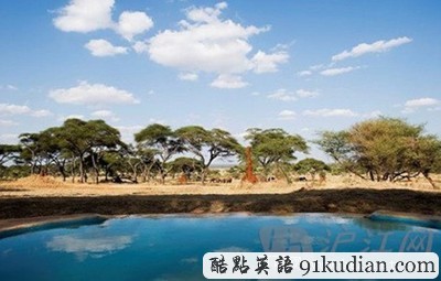 環(huán)球之旅:美到令人尖叫的十大奢華游泳池