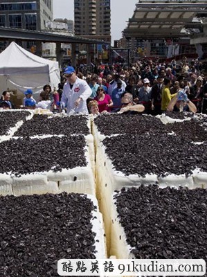 趣圖妙語(yǔ):世界上最大的冰淇淋蛋糕