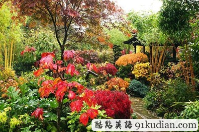 圖文欣賞:世外桃源般的夢幻美景