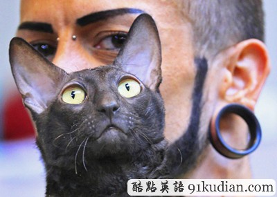 大千世界:比利時(shí)國際貓展