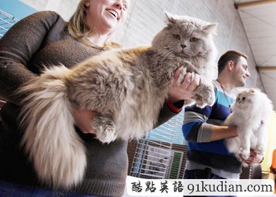 大千世界:比利時國際貓展