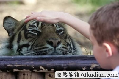 趣圖妙語:都是視覺誤差惹的禍!(2)