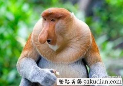 環(huán)球之旅:盤點(diǎn)馬來西亞旅游看點(diǎn)