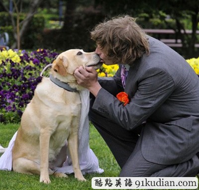 趣圖妙語(yǔ):世界最離譜的結(jié)婚對(duì)象