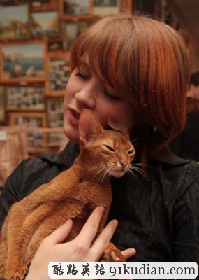 趣圖妙語(yǔ):烏克蘭貓展萌物大集合~