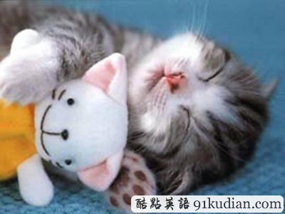 趣圖妙語:我和周公有個(gè)約會