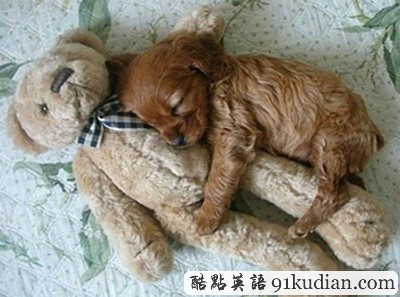 趣圖妙語:我和周公有個約會