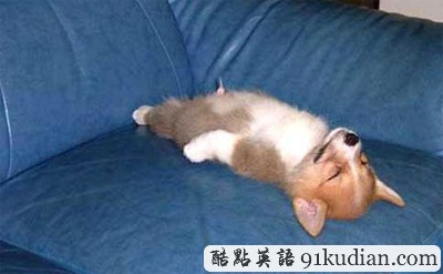 趣圖妙語:我和周公有個約會