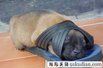 趣圖妙語(yǔ):我和周公有個(gè)約會(huì)