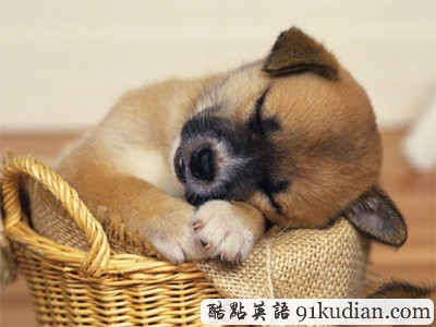 趣圖妙語:我和周公有個(gè)約會(huì)