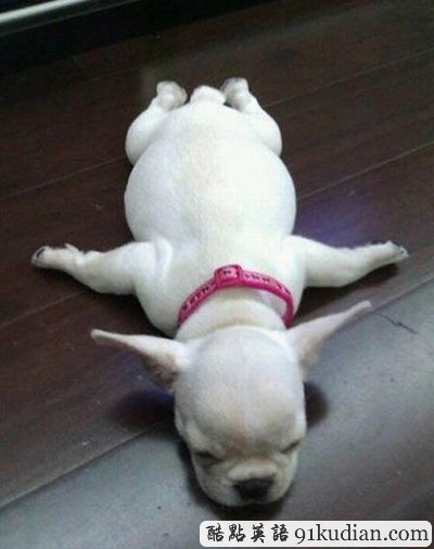 趣圖妙語:我和周公有個約會