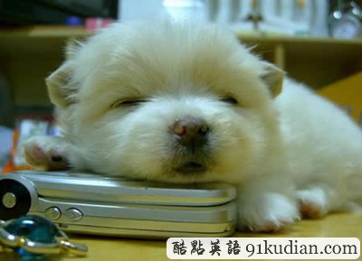 趣圖妙語(yǔ):我和周公有個(gè)約會(huì)