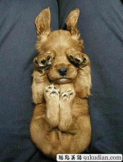 趣圖妙語:我和周公有個約會