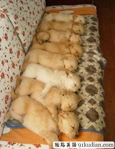 趣圖妙語:我和周公有個(gè)約會(huì)