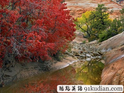 圖片畫廊:美不勝收的美國金秋