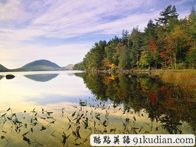 圖片畫廊:美不勝收的美國金秋