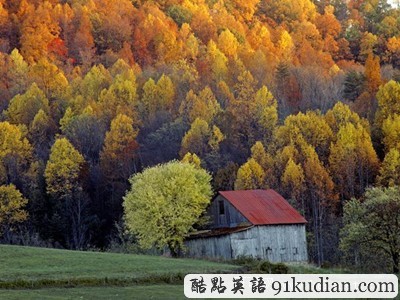 圖片畫(huà)廊:美不勝收的美國(guó)金秋