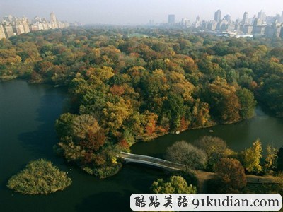 圖片畫(huà)廊:美不勝收的美國(guó)金秋