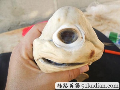 GJ地理:2011年度十佳新聞圖片(2)