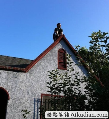 最雷人的梟踞照片看過(guò)后別忍不住......