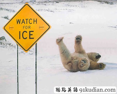 趣圖妙語:動(dòng)物們的搞笑瞬間