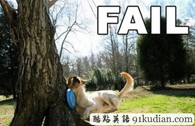 趣圖妙語:動(dòng)物們的搞笑瞬間