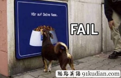 趣圖妙語(yǔ):動(dòng)物們的搞笑瞬間