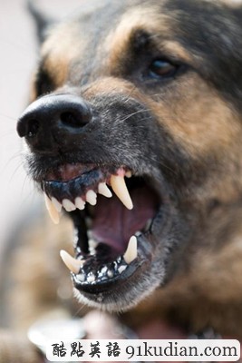 趣圖妙語(yǔ):現(xiàn)實(shí)版《死神來了》(2)