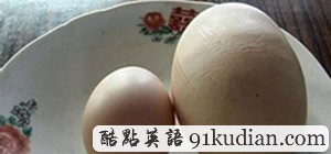 大千世界:最冷的5項(xiàng)世界紀(jì)錄