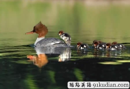 大千世界，無(wú)&ldquo;懶&rdquo;不有