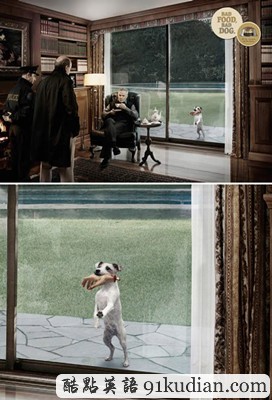 趣圖妙語:有趣的動(dòng)物廣告