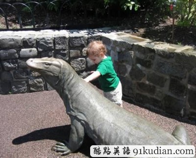 盤點(diǎn):那些震撼過我們的寵物