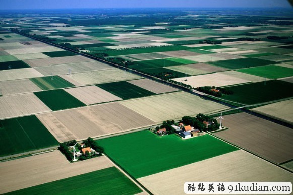 荷蘭之旅:美麗的"郁金香王國(guó)