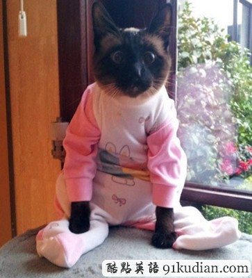 趣圖妙語:動(dòng)物萌物語之我們愛穿衣