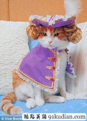 趣圖妙語(yǔ):動(dòng)物萌物語(yǔ)之我們愛(ài)穿衣